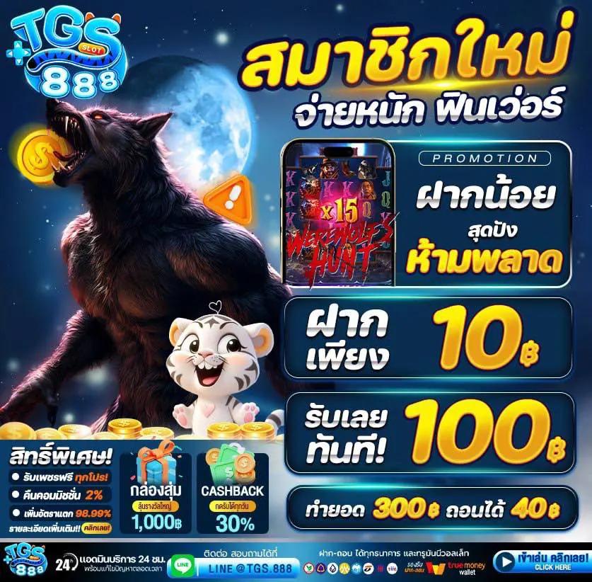 meslot168 เว็บตรง สล็อต ฝากถอนออโต้ ไม่ผ่านเอเย่นต์ 2026