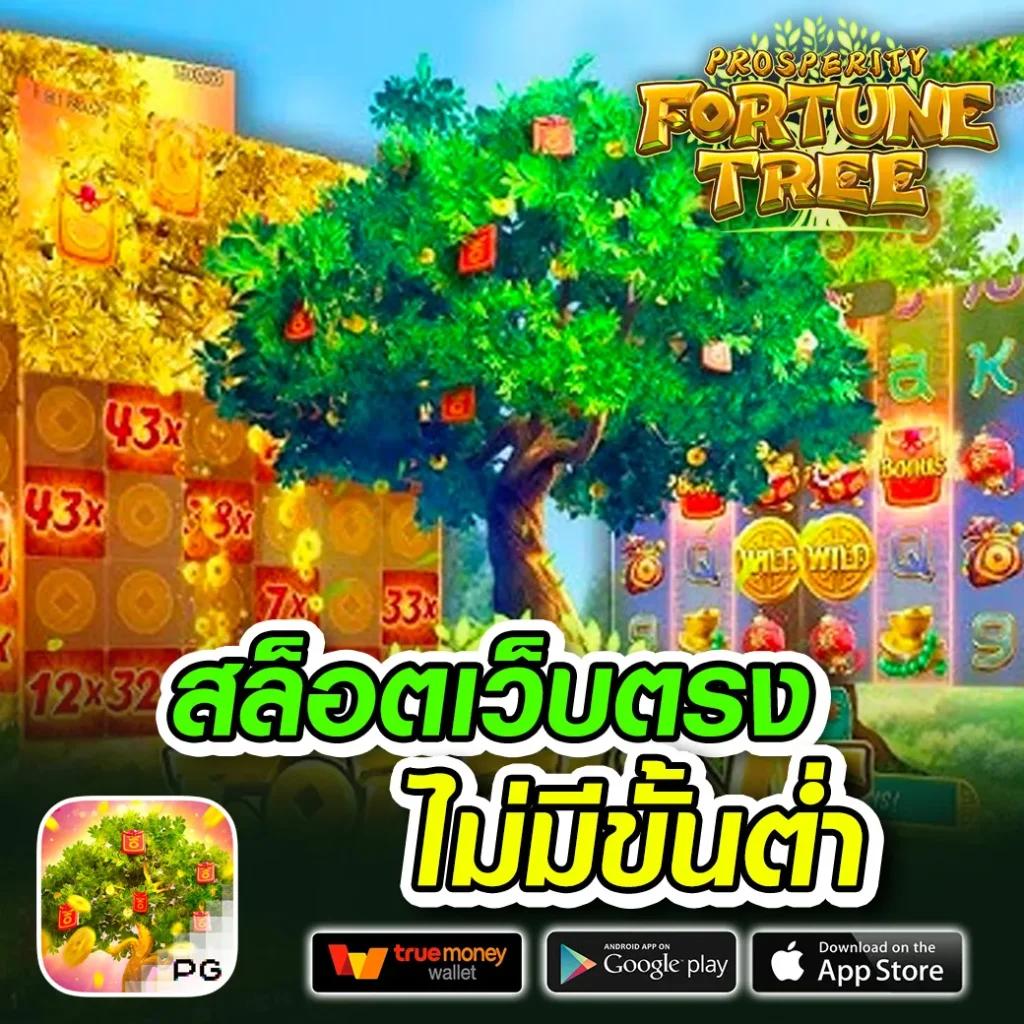 tgabet59 เว็บตรง สล็อต ฝากถอนออโต้ ไม่ผ่านเอเย่นต์ 2026